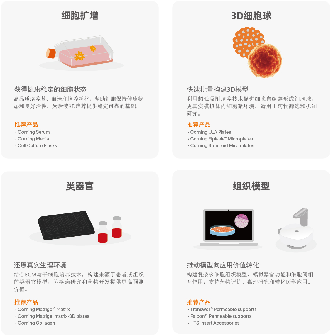 资料截图