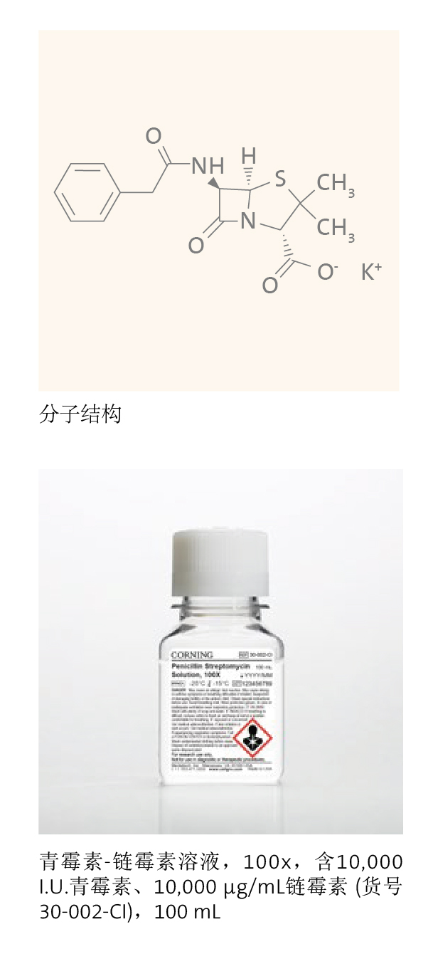 细胞培养用抗生素-防控污染-1.jpg